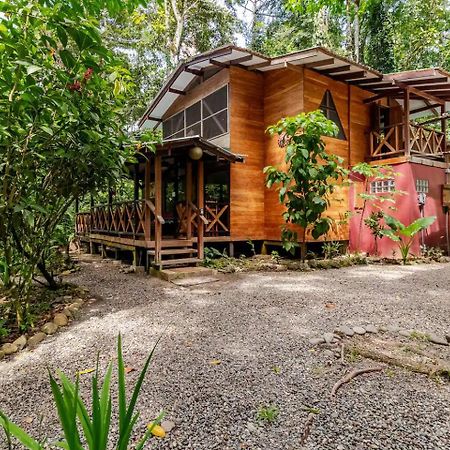 Pachamama Jungle River Lodge - Punta Uva Puerto Viejo de Talamanca 外观 照片