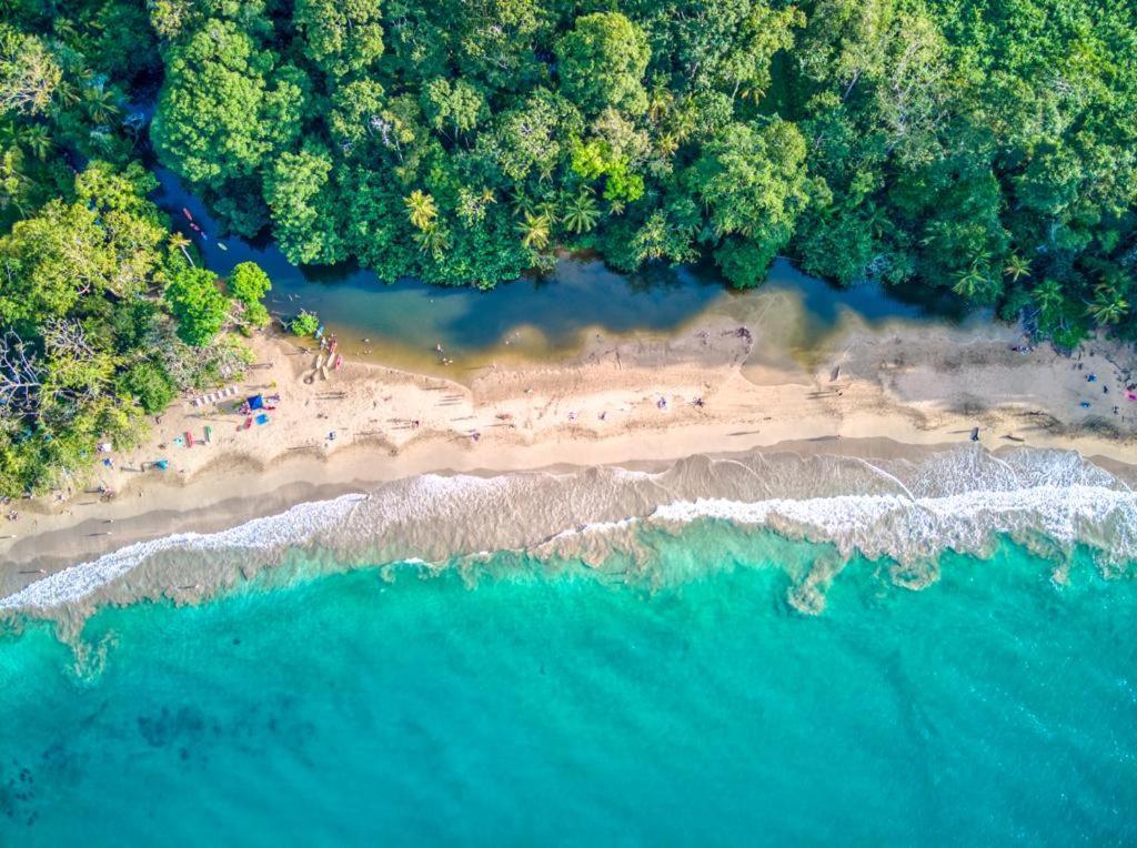 Pachamama Jungle River Lodge - Punta Uva Puerto Viejo de Talamanca 外观 照片