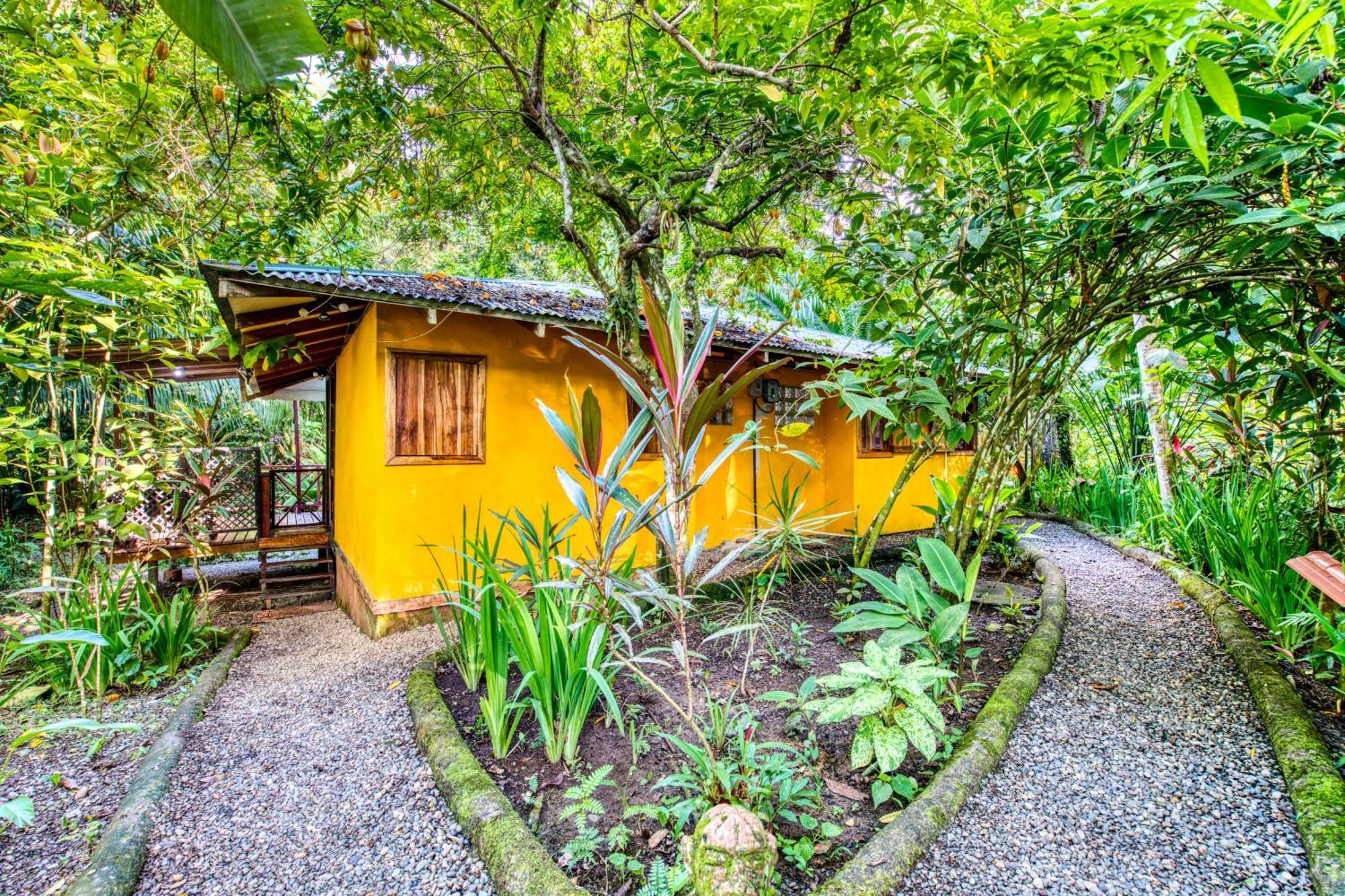 Pachamama Jungle River Lodge - Punta Uva Puerto Viejo de Talamanca 外观 照片