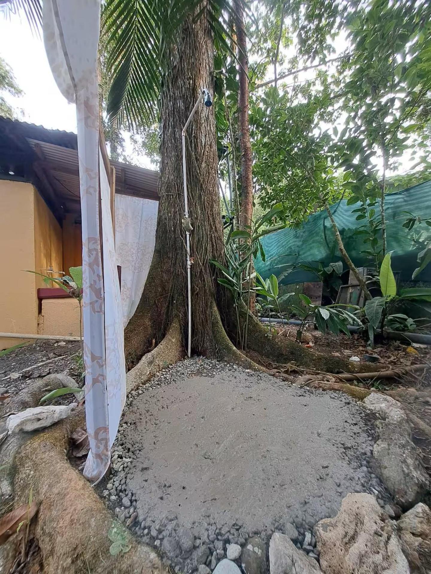 Pachamama Jungle River Lodge - Punta Uva Puerto Viejo de Talamanca 外观 照片