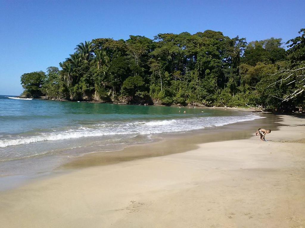Pachamama Jungle River Lodge - Punta Uva Puerto Viejo de Talamanca 外观 照片