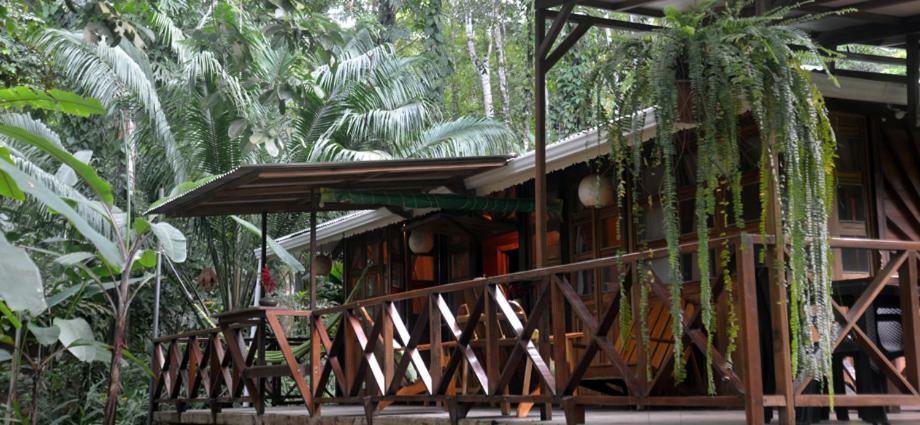 Pachamama Jungle River Lodge - Punta Uva Puerto Viejo de Talamanca 外观 照片